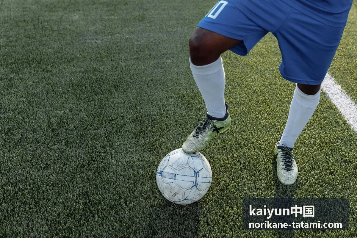 kaiyun中国 榻榻米定制现场量尺与蔺草席面选样