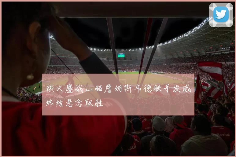 热火鏖战山猫詹姆斯韦德联手发威终结悬念取胜