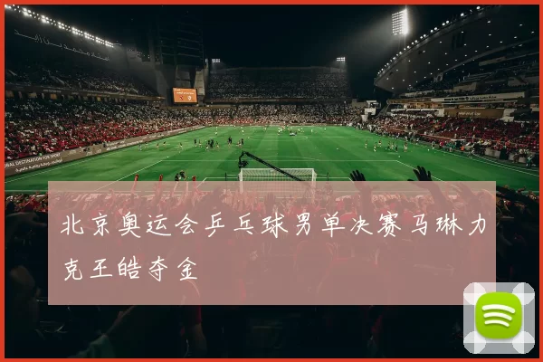 北京奥运会乒乓球男单决赛马琳力克王皓夺金