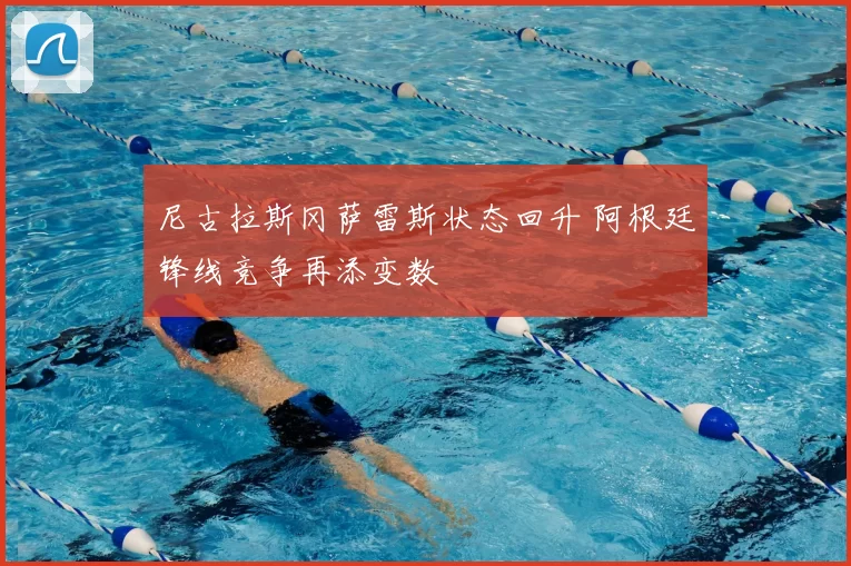 尼古拉斯冈萨雷斯状态回升 阿根廷锋线竞争再添变数