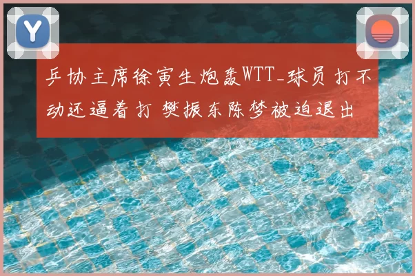 乒协主席徐寅生炮轰WTT_球员打不动还逼着打 樊振东陈梦被迫退出