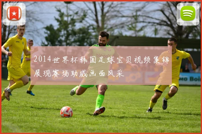 2014世界杯韩国足球宝贝视频集锦展现赛场助威画面风采